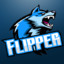 Flipper