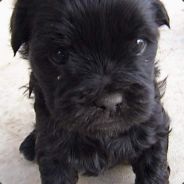 alex^_- - steam id 76561197965745542