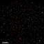 Cosmos0326