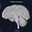 Medulla Oblongata