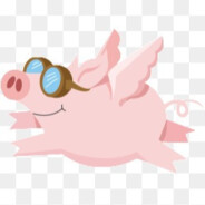 A flying pig