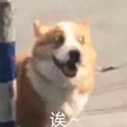 跌爹快开门我是修勾哇