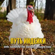 Индейка фламбе