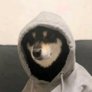 人望山，鱼窥荷