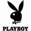 PlayBoy (Raul) | Pvpro.com