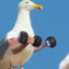 birdman_OG