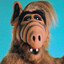 Alf (Jy praat kak)