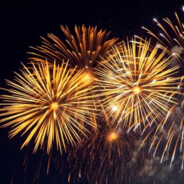 M.Murey