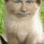 халапенис