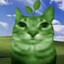 LionHAX