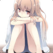 とらドラ·掌中萌虎