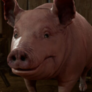 小熊饼干（树莓味