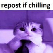 УЧИХА ПАТРА