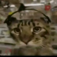 ТеБе ПиЗдА бЕгИ я