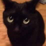 微机课鞋套收发员