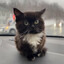 quirkyturtle's avatar