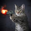 EL GATO QUE DISPARA