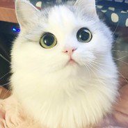 걱정마 난 최강이니까