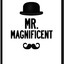 Mr.Magnificent