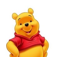 电脑玩家维妮熊