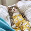 Meow2