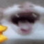 pepe_:)