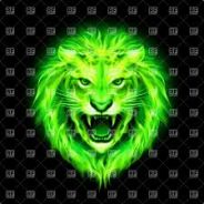LionFTW
