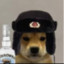 Я хозяин