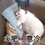 滴滴滴