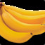 Banana Nanica