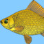 Kapacb_Pblba