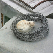 вы в танцах