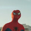 spiderpapucausa