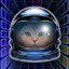 Space Cat