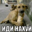 толян