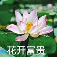 二旬老太扛枪上阵