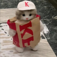她说为我守B
