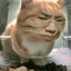 牢猫小底