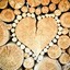 Wood 1