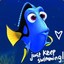 DORY