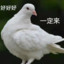 你也会遗憾吗
