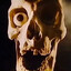 AMERICAN SKELE PIRATE