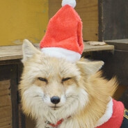 Glacier got festivized