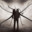 MisterLongLegs257