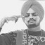 Punjabi Playboy