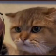 石圪节barber胡德禄