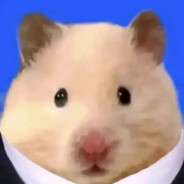 比奇堡的懒羊羊