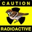 Radioactive_Sparrow