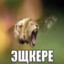 Mahan