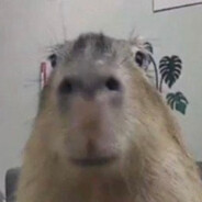 chief hot hog Steam avatar